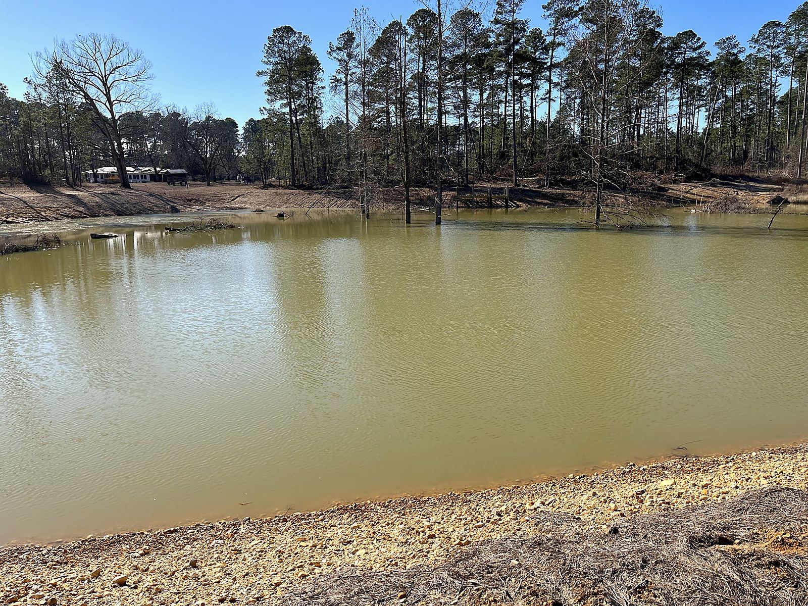 Pond dug, shaped, and holding