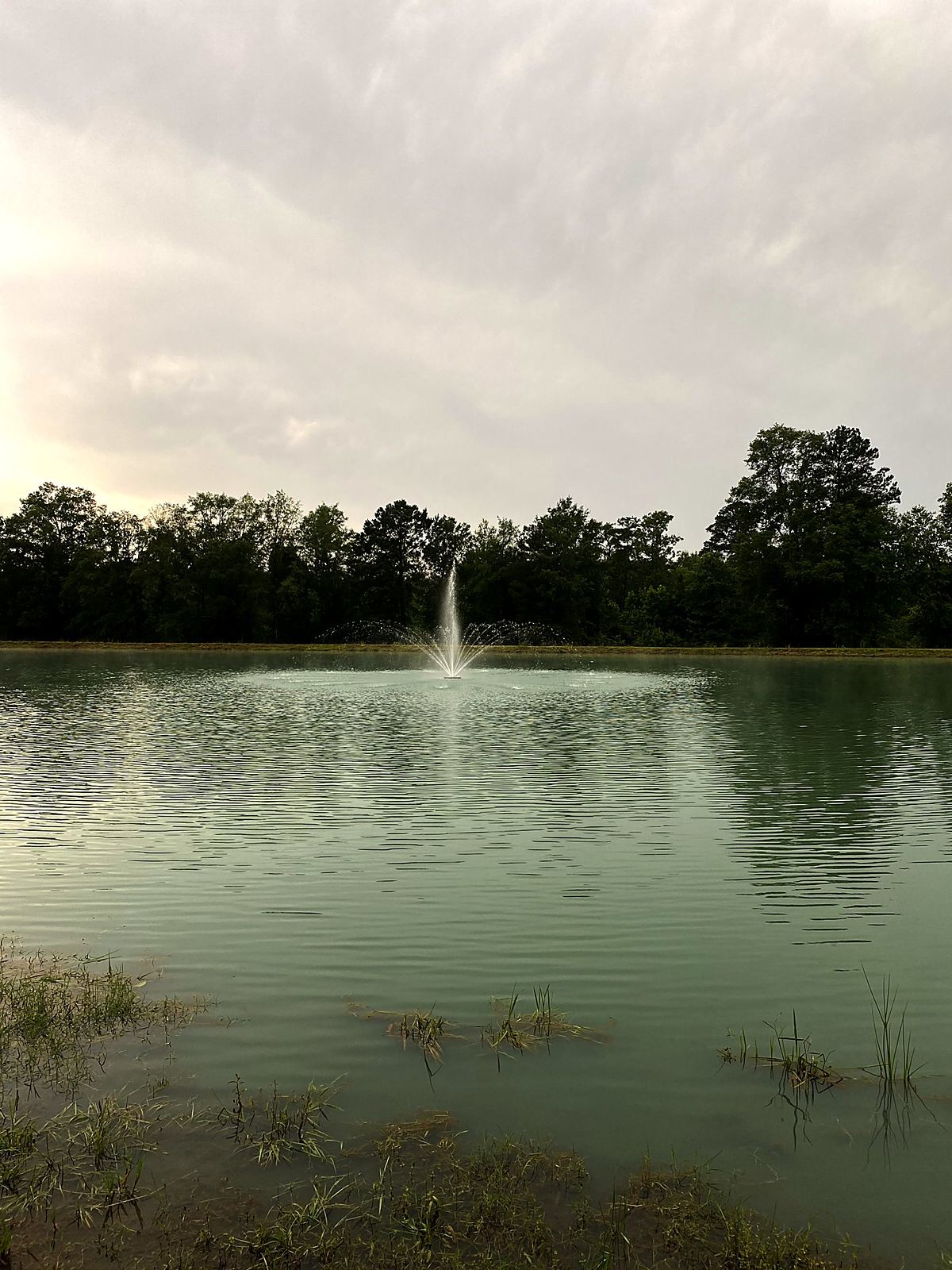 Finished pond with fountain