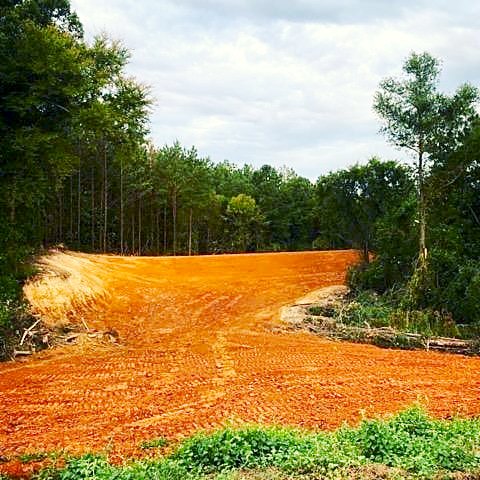 Red clay clearing cut into the pines